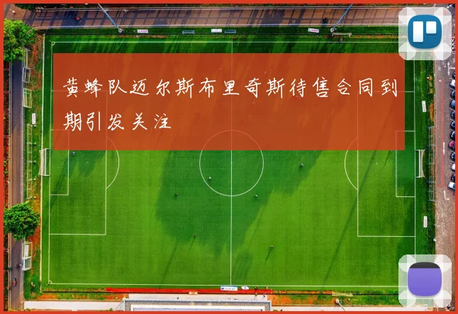 黄蜂队迈尔斯布里奇斯待售合同到期引发关注