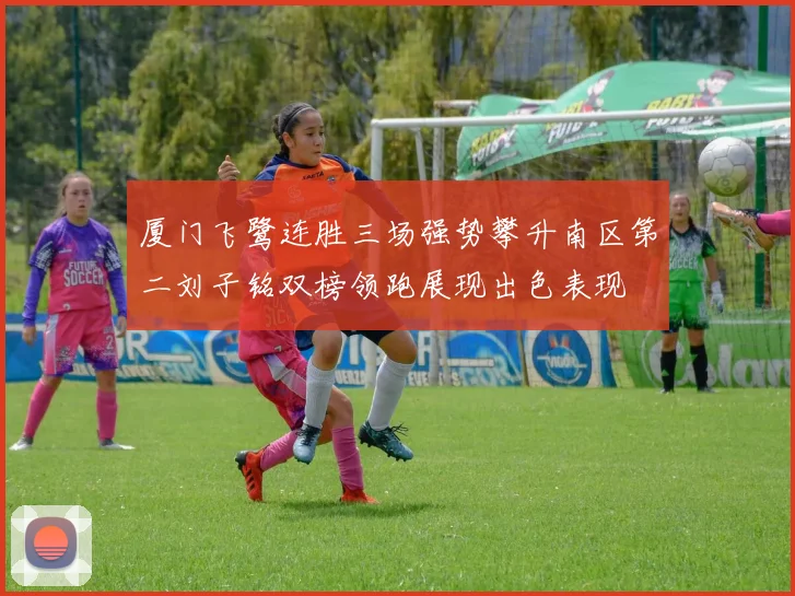 厦门飞鹭连胜三场强势攀升南区第二刘子铭双榜领跑展现出色表现