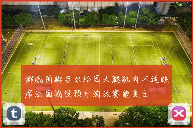 挪威国脚吕尔松因大腿肌肉不适缺席法国战役预计淘汰赛能复出