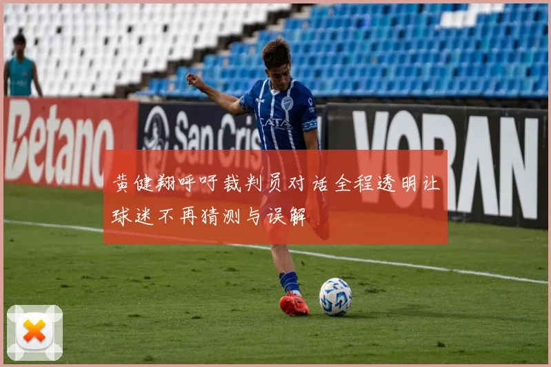黄健翔呼吁裁判员对话全程透明让球迷不再猜测与误解